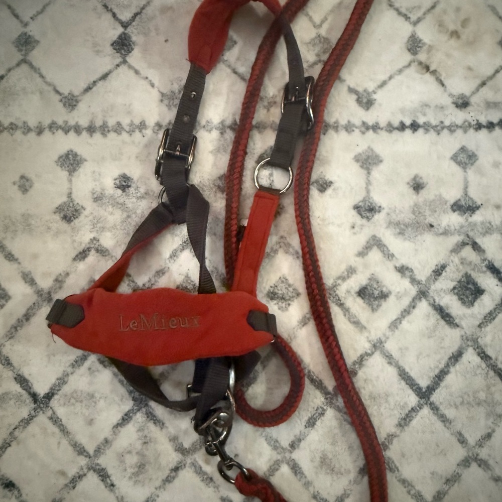 Lemieux Sienna Cob Halter